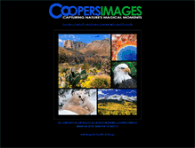 Tablet Screenshot of coopersimages.com